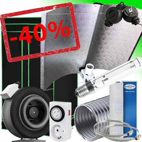 Ein allgemeines Bild